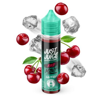 Just Juice MINT - Red Mint - 40ml - Shortfill